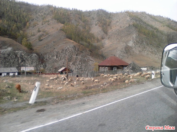 Золотая осень на Алтае (продолжение)