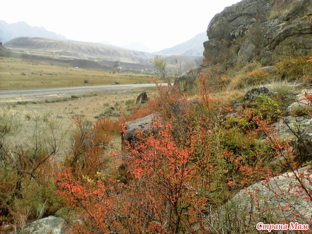 Золотая осень на Алтае (продолжение)