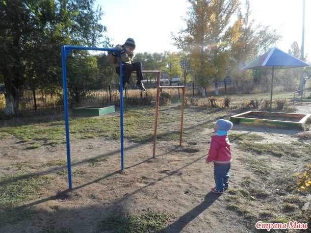Лошадкаааа)