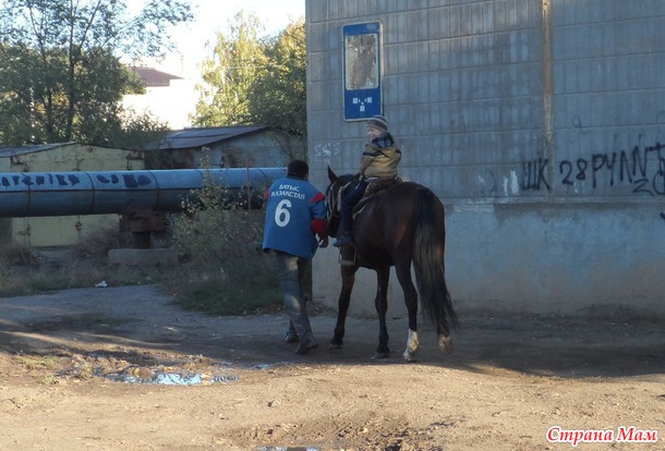 Лошадкаааа)
