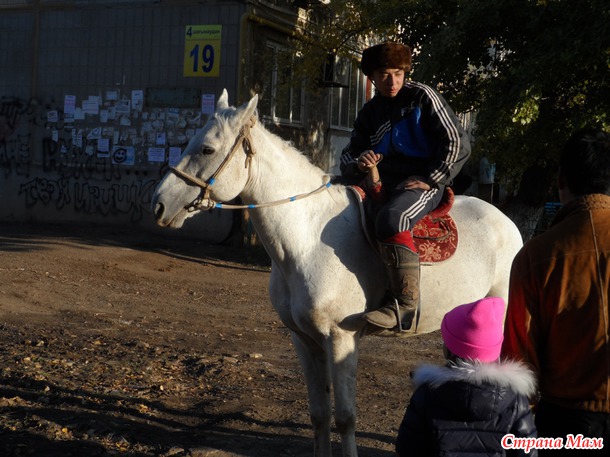 Лошадкаааа)