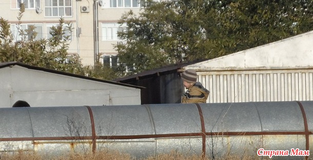 Лошадкаааа)
