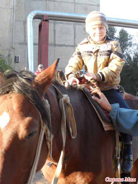 Лошадкаааа)