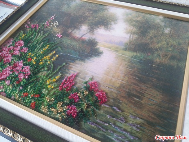 Флоксы