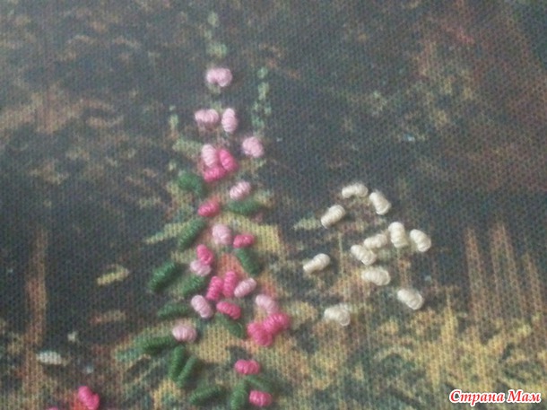 Флоксы