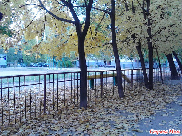 Дальнейшие планы