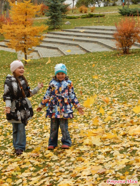 Золотая осень. Зарисовка день сегодняшний )))
