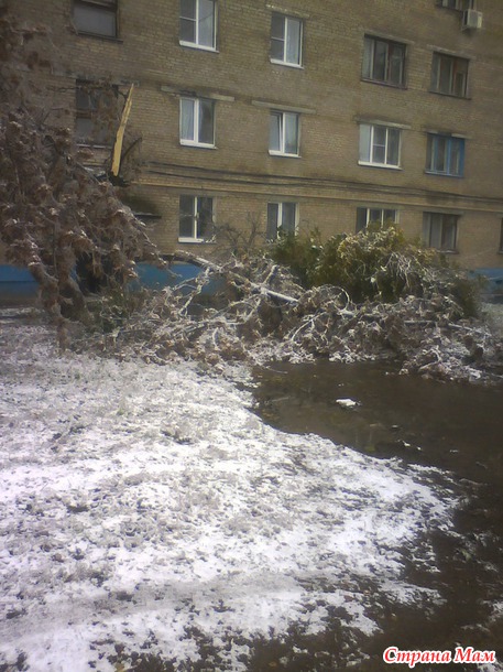 Ледниковый период