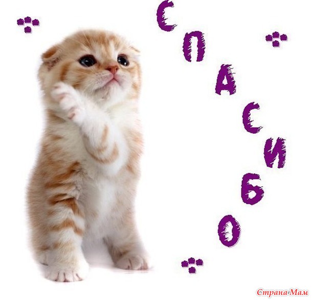Наконец то наша ФЕЕЧКА №9 прилетела и к нам