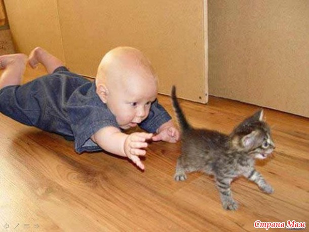 Коты и дети