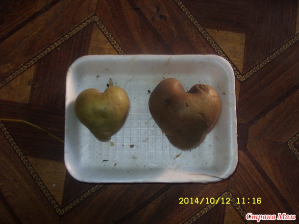 Урожай "с любовью"