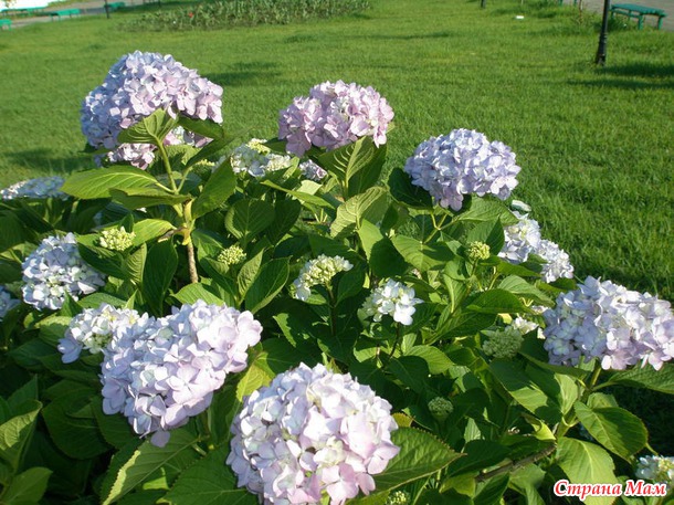 Яркая, солнечная, теплая - почти уже родная...