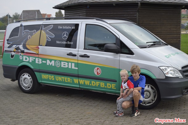    DFB(  )