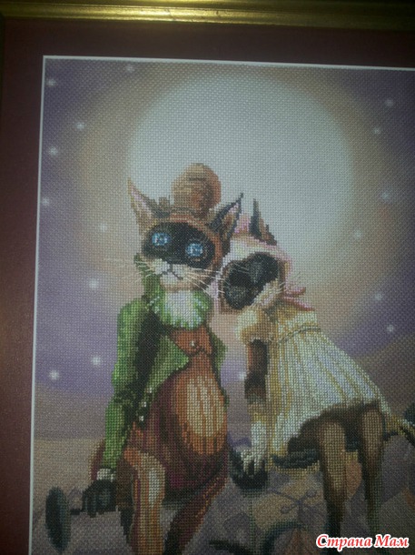 *Коты от "Новой Слободы".