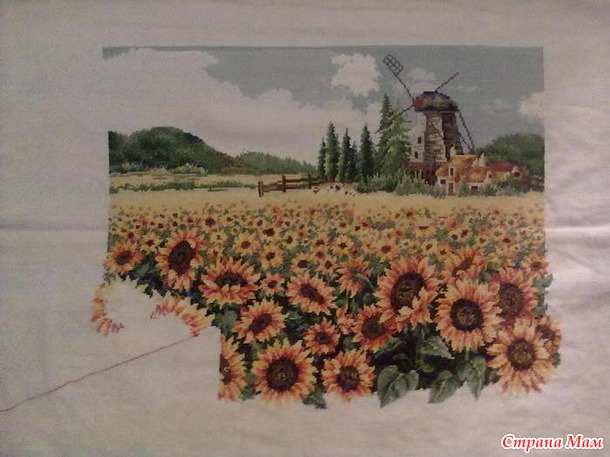 *Подсолнухи во сне