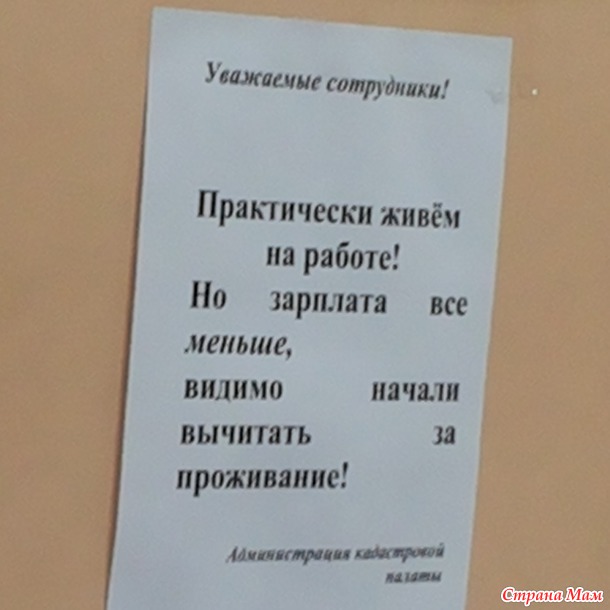Мое лето. Краткий обзор :)