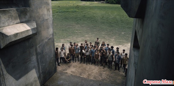 Бегущий в лабиринте/The Maze Runner(2014)