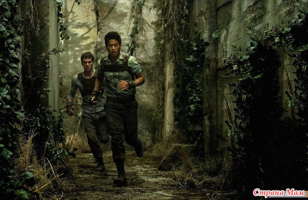 Бегущий в лабиринте/The Maze Runner(2014)
