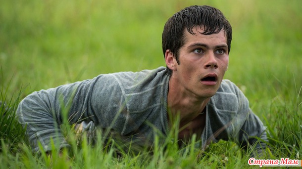 Бегущий в лабиринте/The Maze Runner(2014)