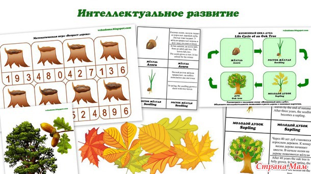 ТЕМАТИЧЕСКОЕ ЗАНЯТИЕ "ДУБ"