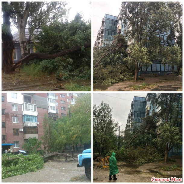 Кому там дров на зиму не хватало? Нате, пожалуйста, складируйте!