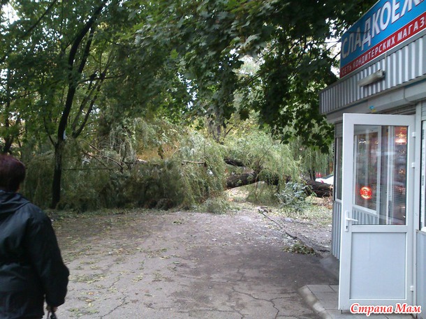 Ураган в Днепре. природа в очередной раз нас проэкзаменовала(((