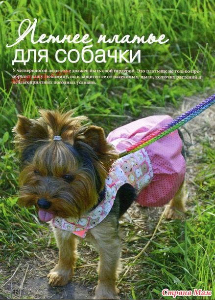 Лукошко идей № 8 2014