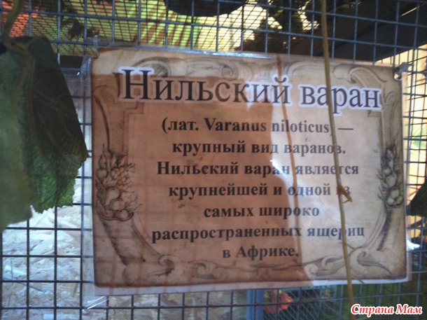 Крокодиловая ферма снова в Самаре!