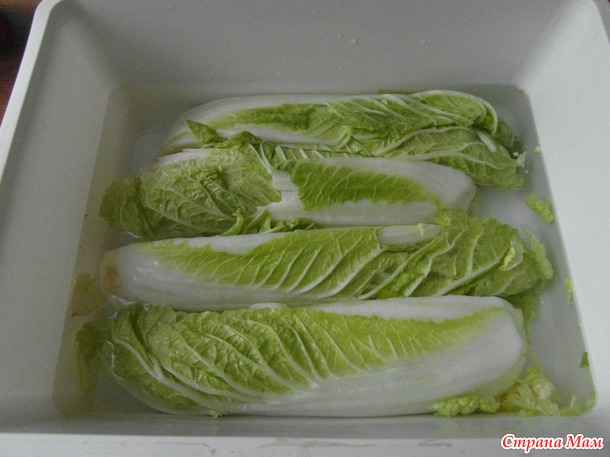 "Кимчи" из пекинской капусты.