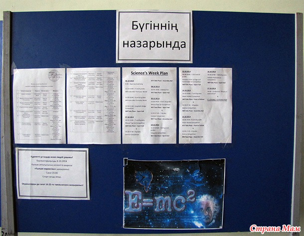 Шестнадцатый год. Андрей.