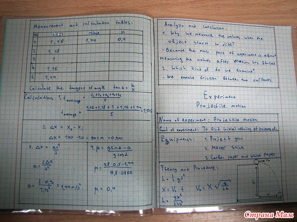 Шестнадцатый год. Андрей.