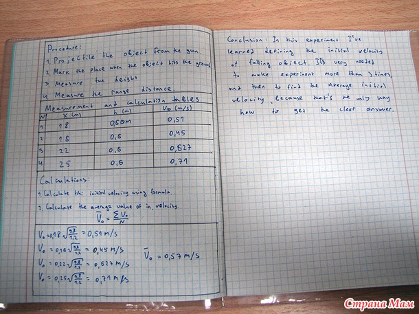 Шестнадцатый год. Андрей.