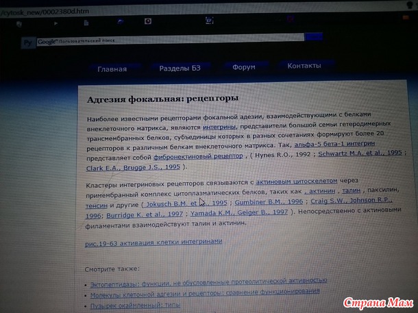 Шестнадцатый год. Андрей.