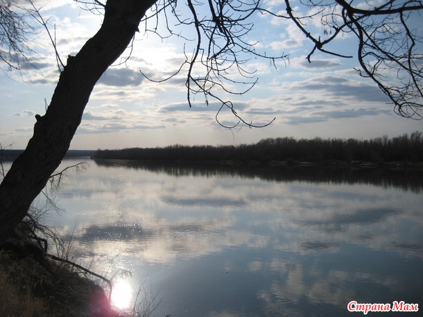 Наш край донской в марте.