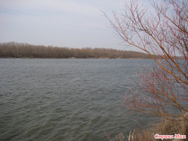 Наш край донской в марте.