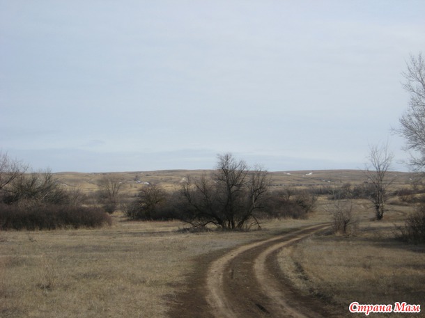 Наш край донской в марте.