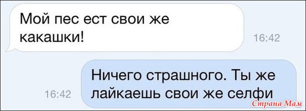  )