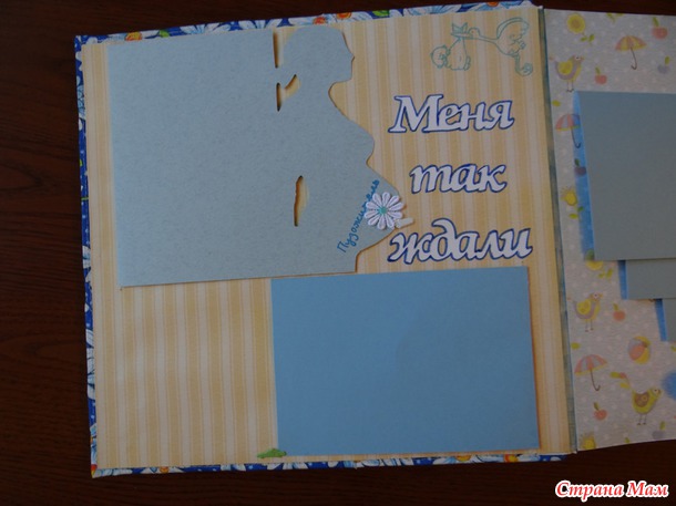 Альбом для Ромашки