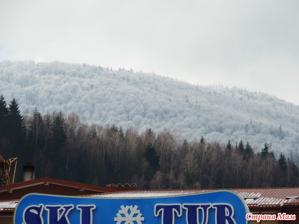 Наше путешествие в Карпаты