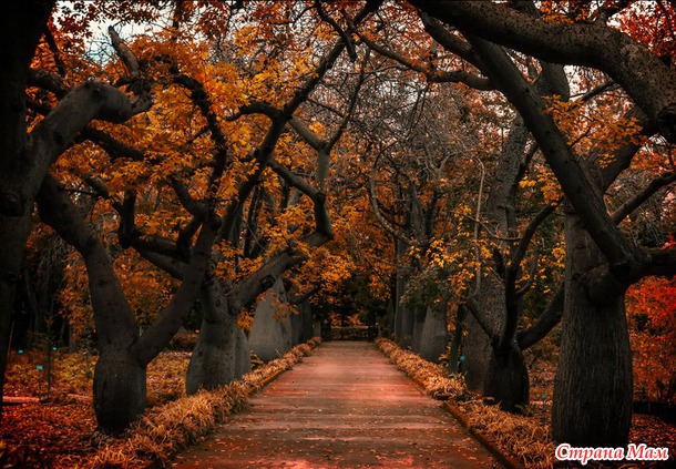 Лучшие фотографии со всего света