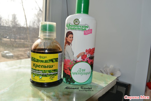 Петуния от начала и до...