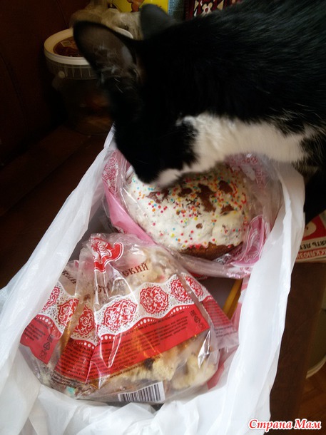 ���������� ���...