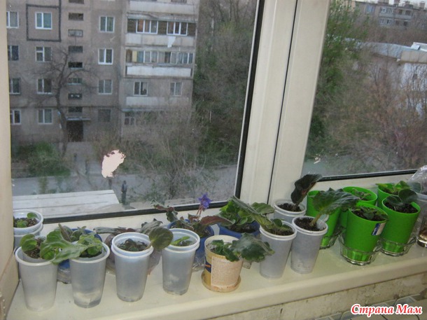 Мой детский сад)