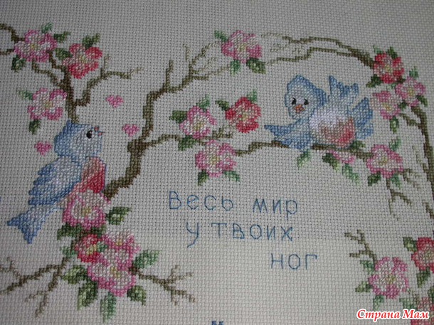 *Метрика. Stoney Creek. A Little Birdie Told Me