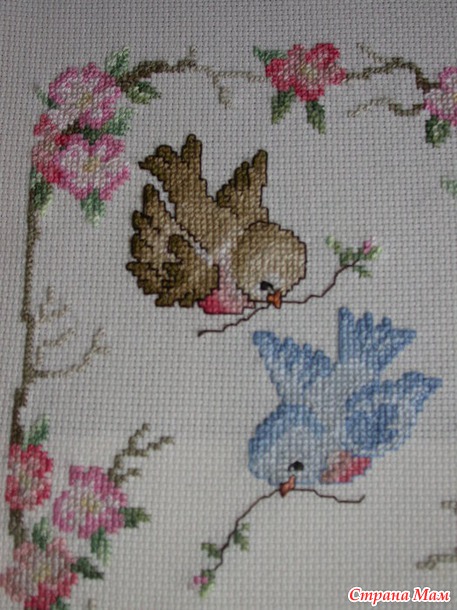 *Метрика. Stoney Creek. A Little Birdie Told Me