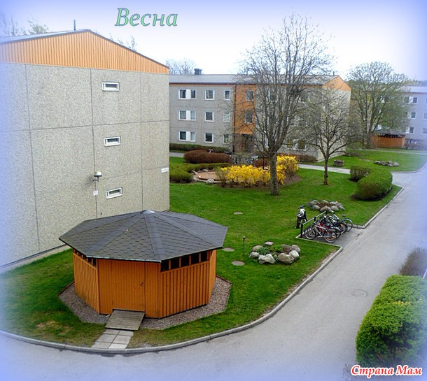 Весна постепенно входит в свои права