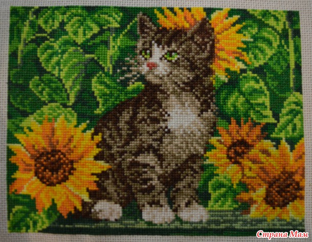 Котенок в подсолнухах