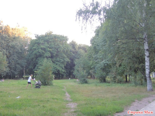 Парк Наташинские пруды г. Люберцы История парка