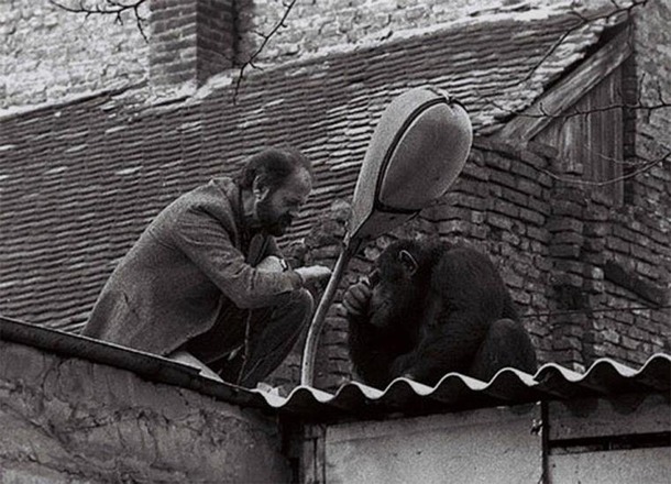 20 фотографий о том, как удивителен наш мир