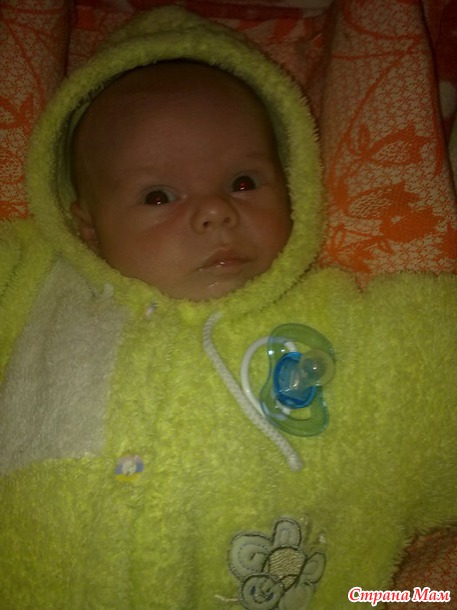 Матвей Михалыч собственной персоной.